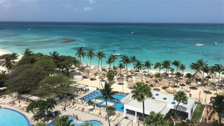 What beer is served at Riu Palace Aruba?