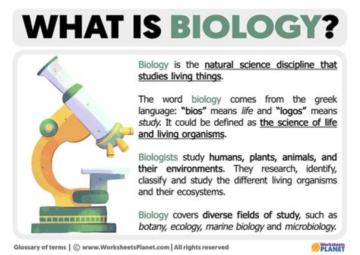 What biology term starts with Y?
