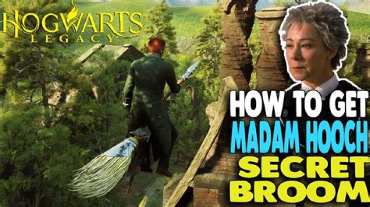 What broom did Madam Hooch learn to fly on?