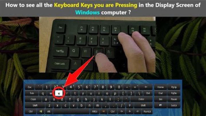 What button do you press to switch Windows?
