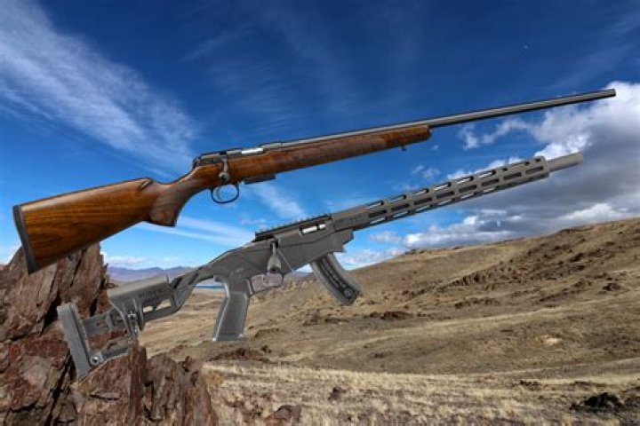 What caliber gun is a Ruger?