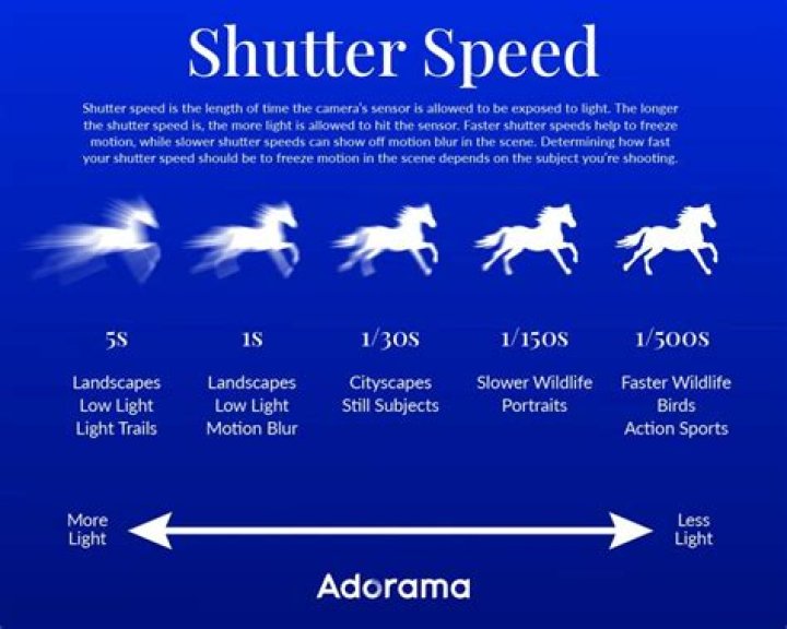 What camera has a fast shutter speed?