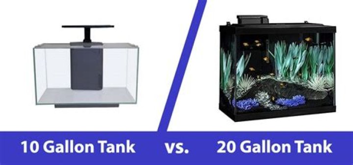 What can a 10 gallon fish tank sit on?