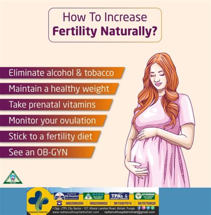 What can a female eat to increase fertility?