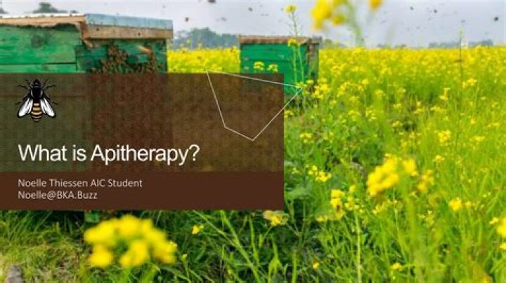 What can apitherapy cure?