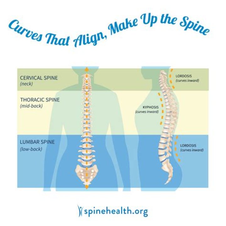 What can cause the spine to curve abnormally?