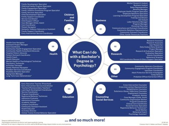 What can I do with a bachelors in CJ?