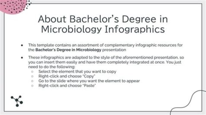 What can I do with a European Studies degree?