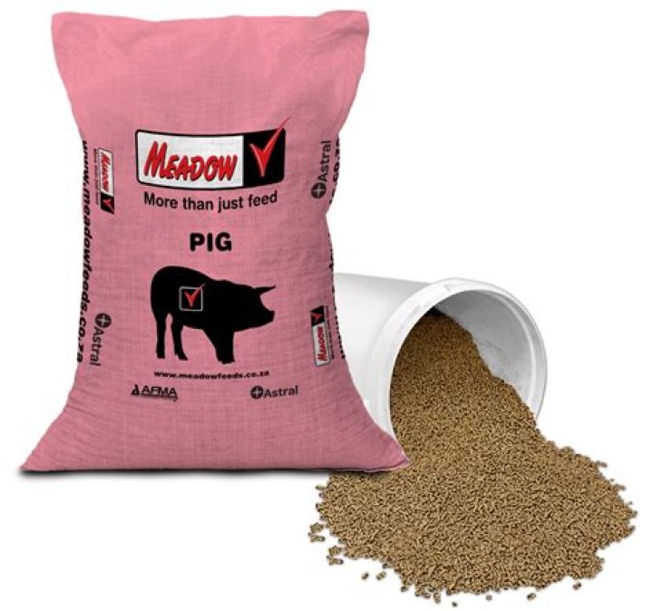 What can I feed a baby piglet?