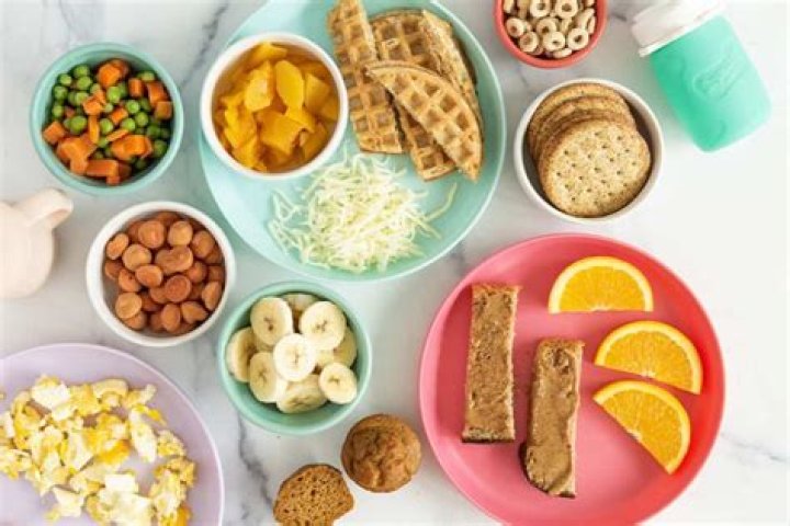 What can I give my 18 month old for lunch?