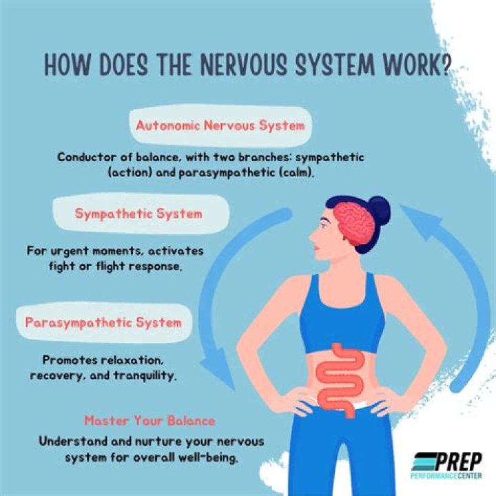 What can stress do to your nervous system?