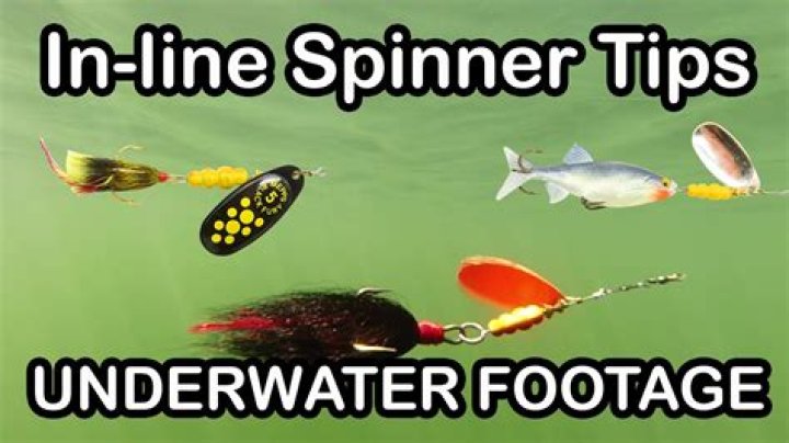 What can you catch with inline spinners?