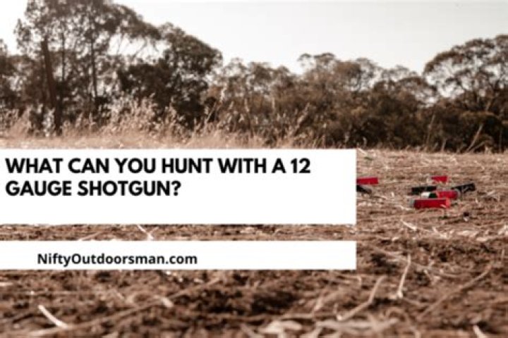 What can you hunt with a 12 gauge shotgun?