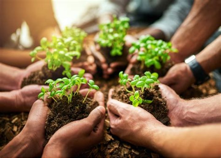 What careers work with plants?