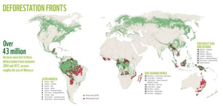 What caused deforestation in Europe?