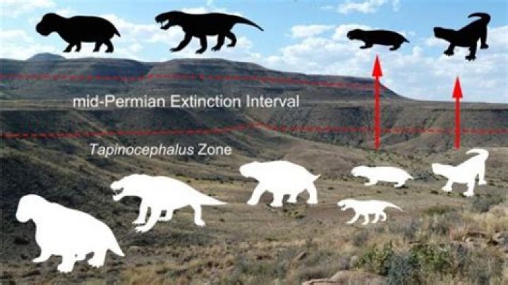 What caused the mass extinction at the end of the Permian period?