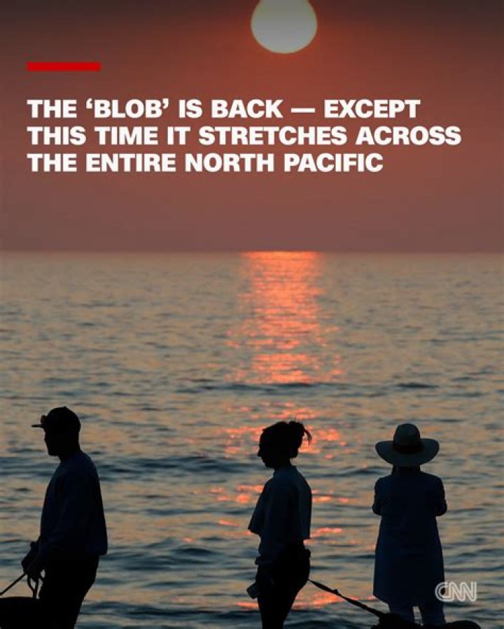 What caused the Pacific blob?