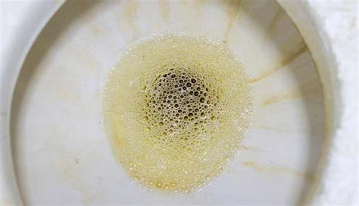What causes air bubbles to come up in the toilet?