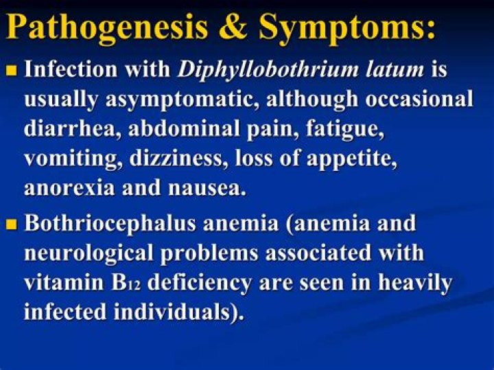 What causes Bothriocephalus anemia?