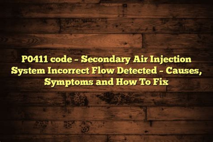 What causes code P0411?