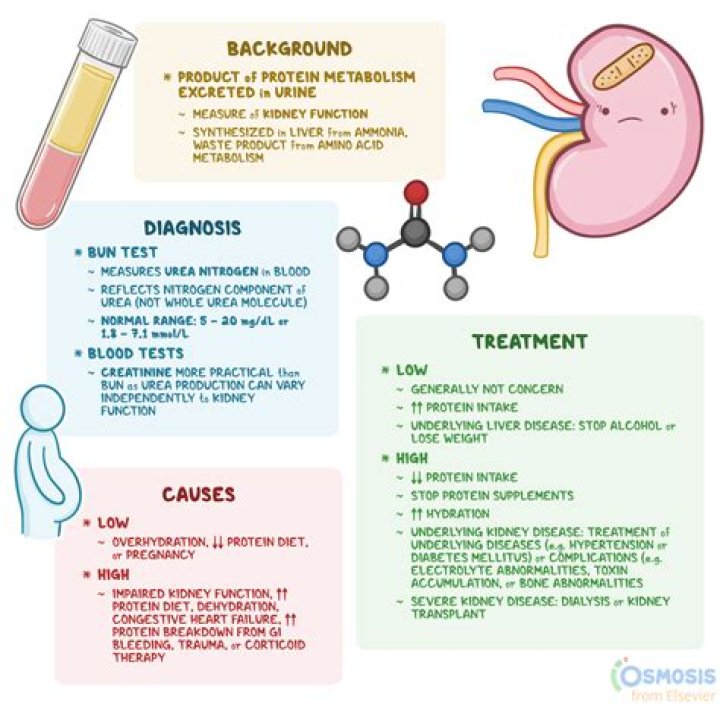 What causes diarrhea and blood in urine?