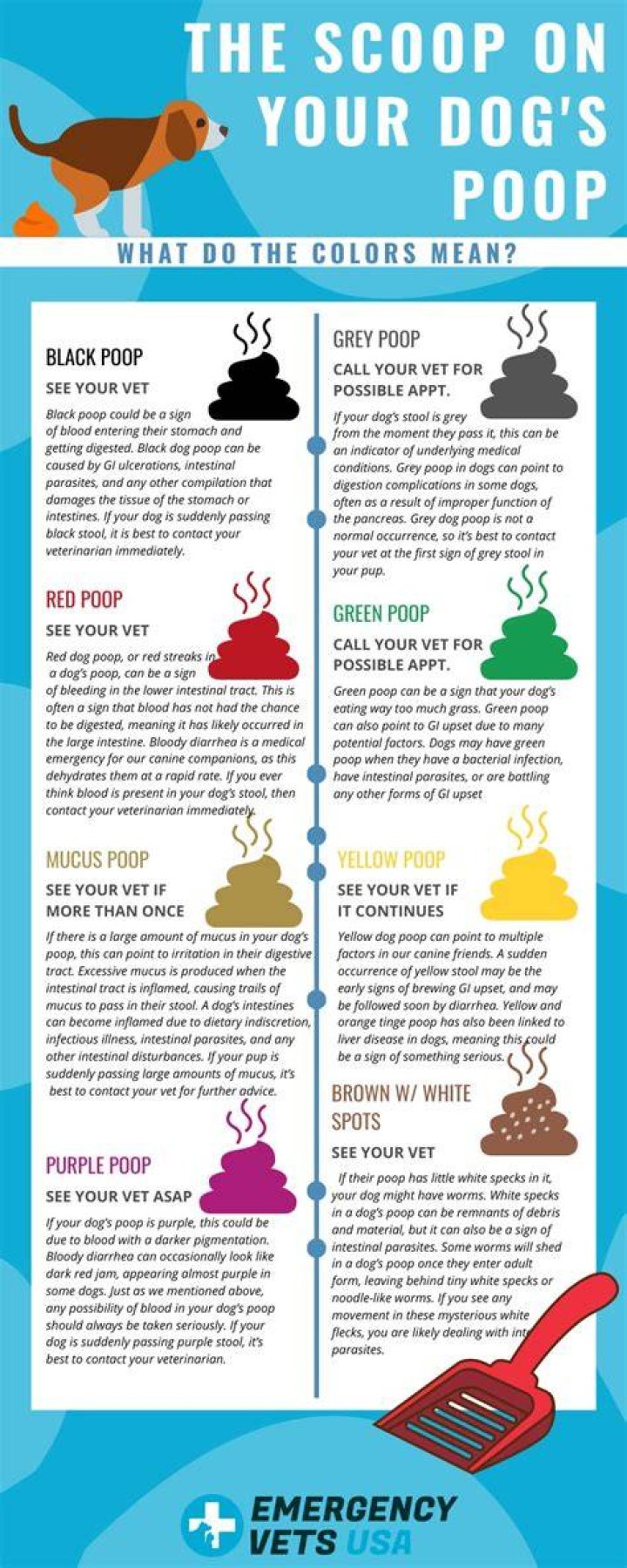 What causes light colored stool in dogs?