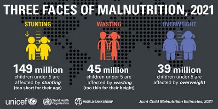 What causes malnourishment in Africa?