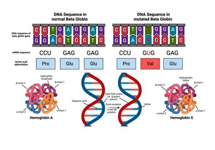 What causes overexpression of gene?