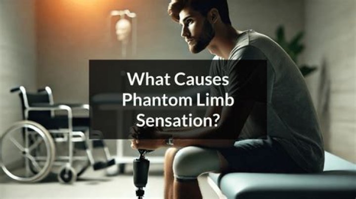 What causes the sensation of a phantom limb?
