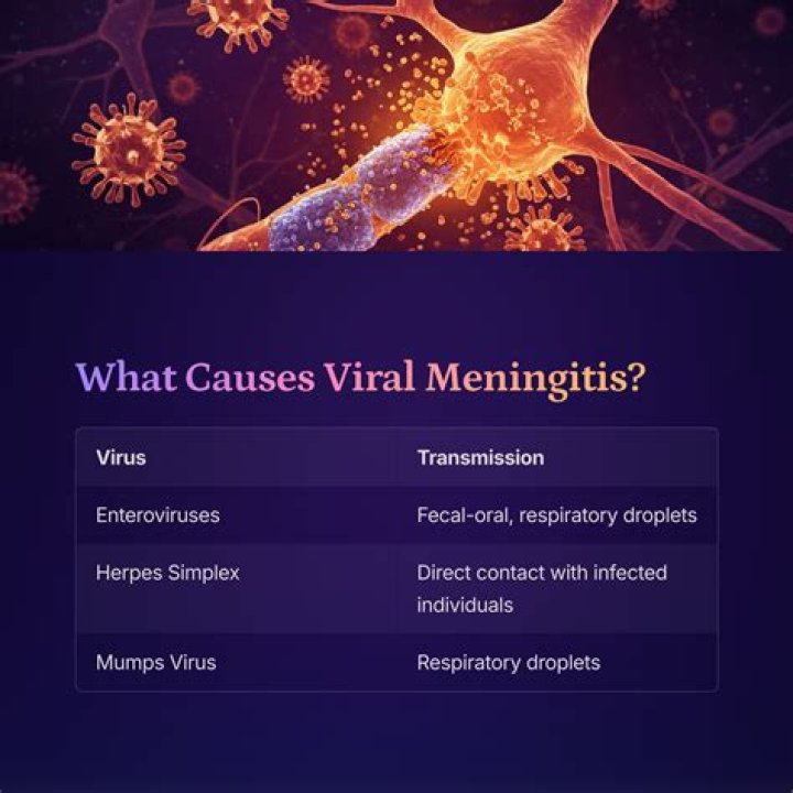 What causes viral mono?
