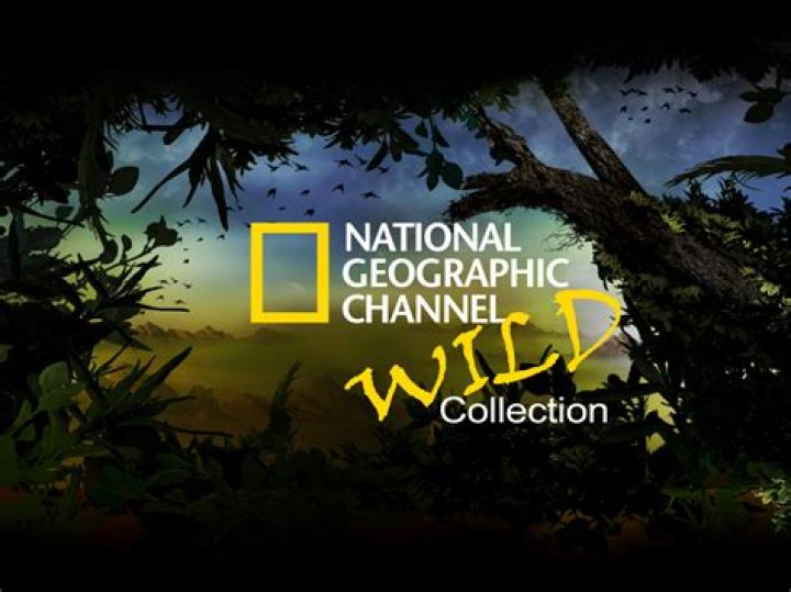 What channel is Nat Geo Wild on optimum?