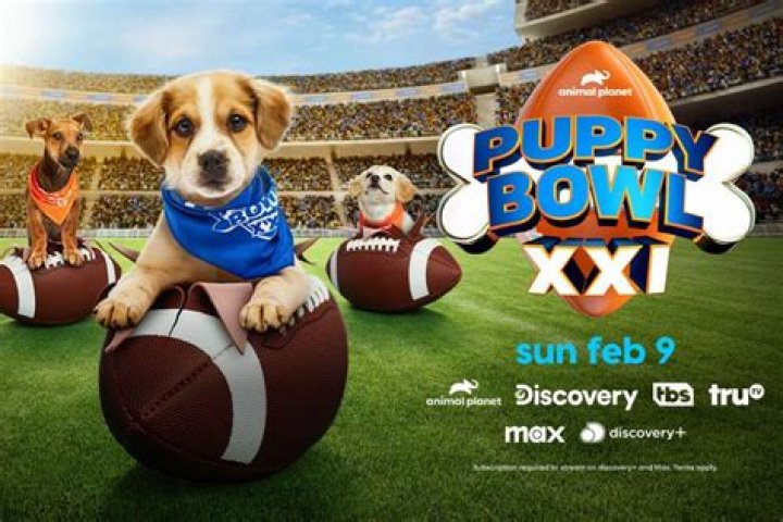 What channel number is the Puppy Bowl on?