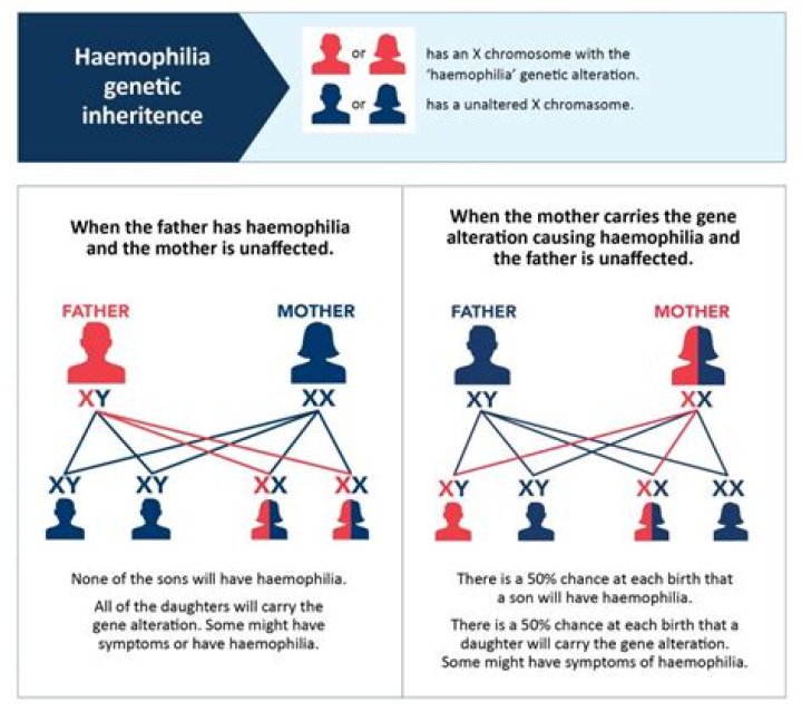 What chromosome is linked to hemophilia B?