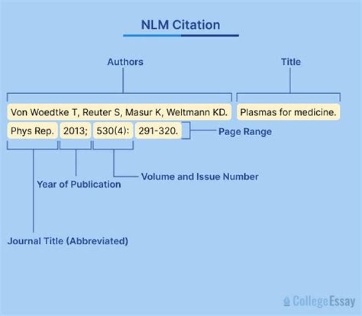 What citation format does mendeley use?
