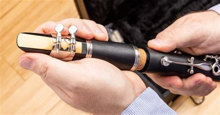 What clarinet reed should a beginner use?