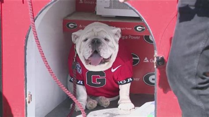 What college has a bulldog for a mascot?