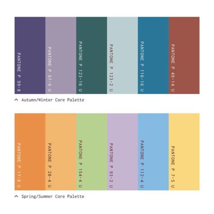 What color is PayPal?