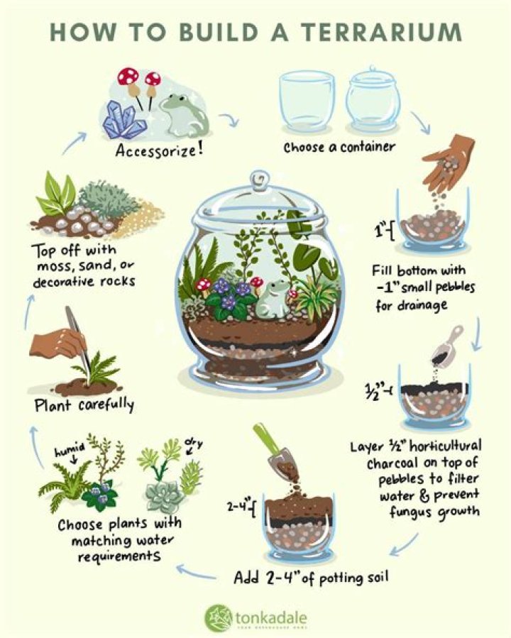What comes in a terrarium kit?