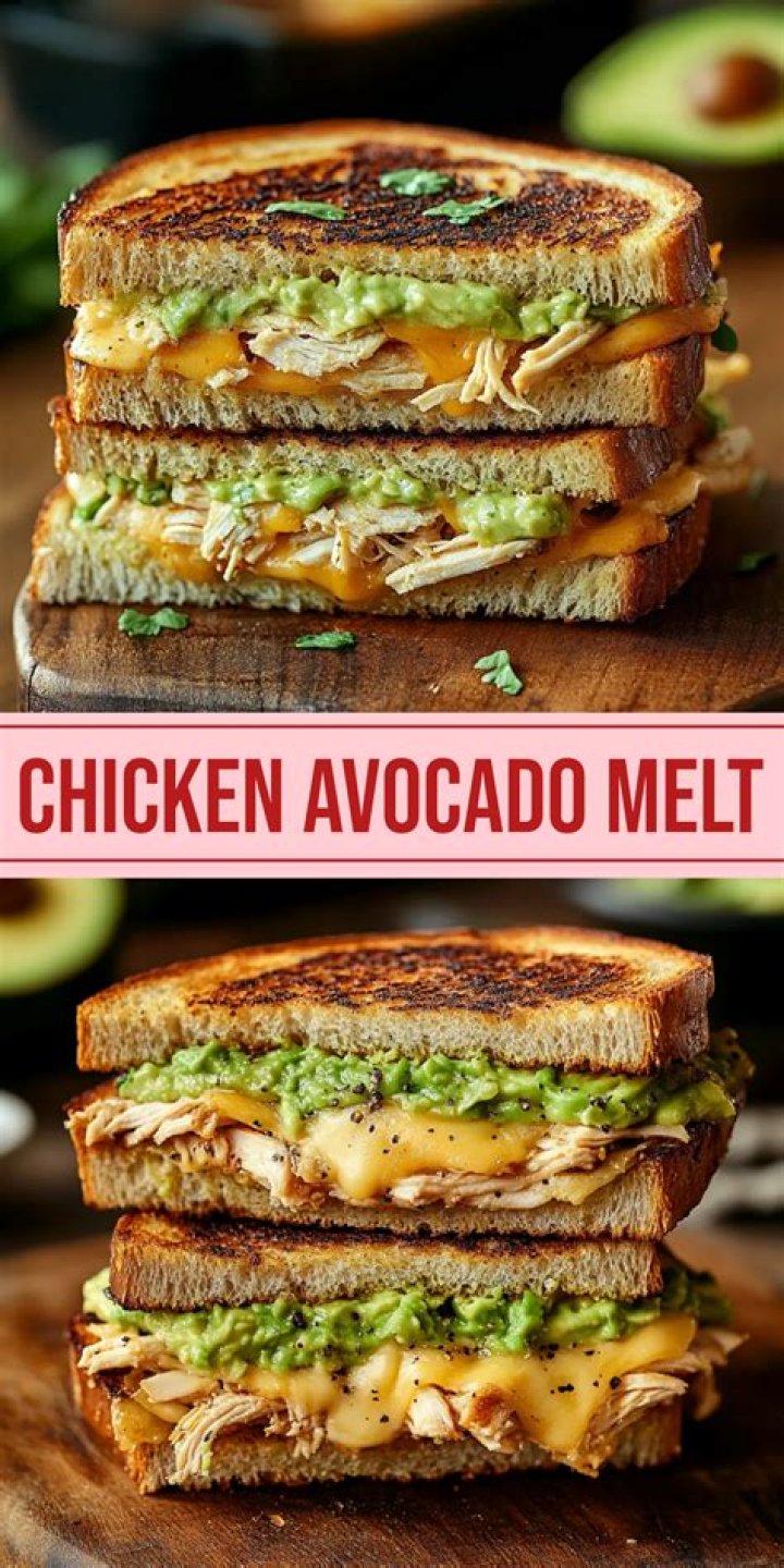 What comes on the chipotle chicken avocado Melt?