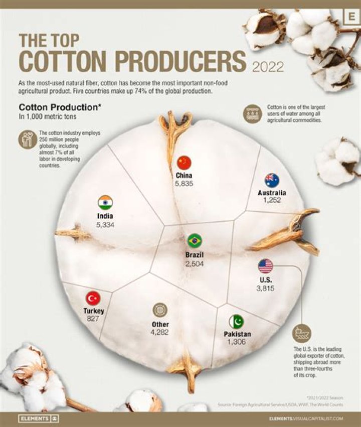 What country produces the most broilers?