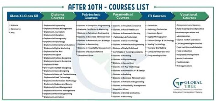 What courses does School of Mines offer?
