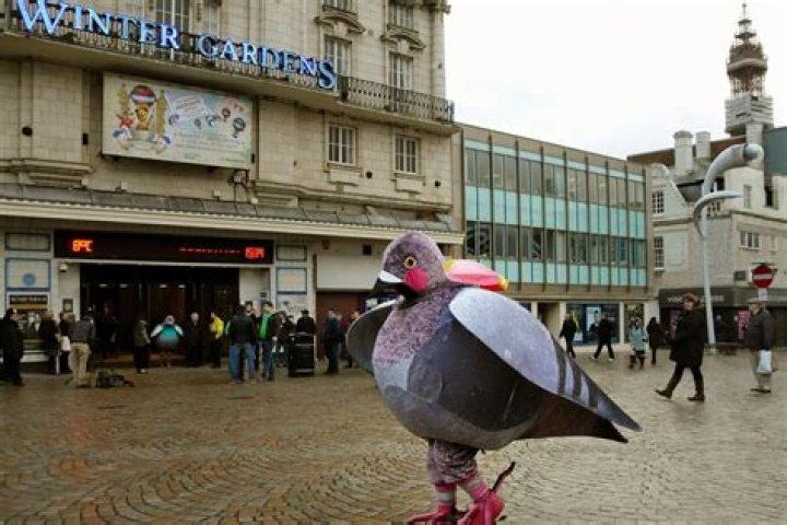 What date is Blackpool pigeon show?