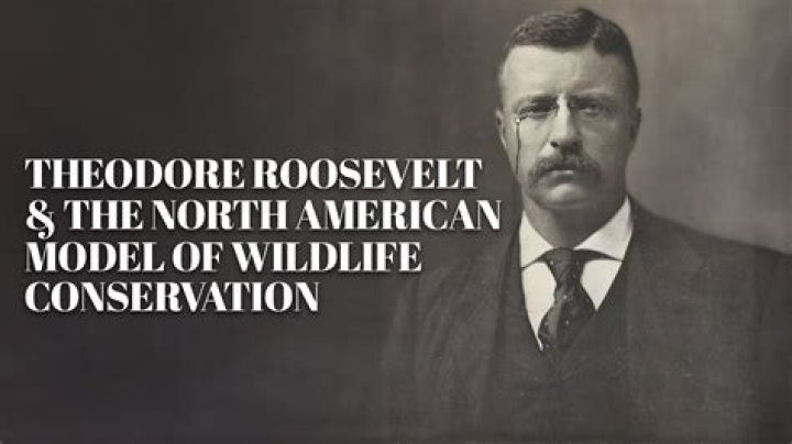 What decision did Roosevelt make in September 1940?
