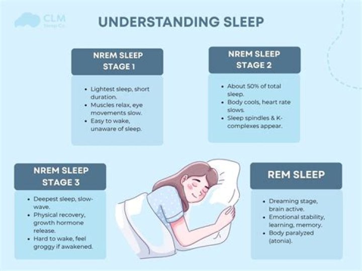 What describes the REM sleep stage?