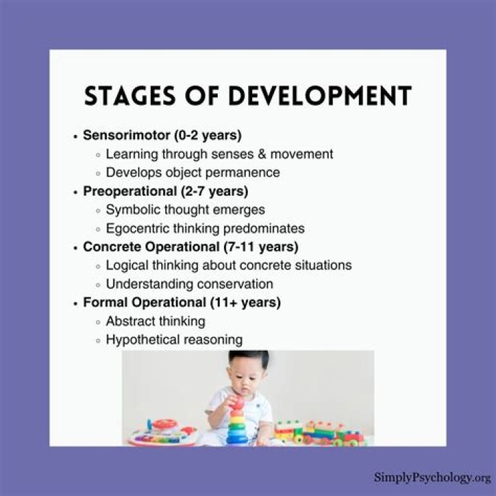 What developmental stage is a 20 year old?