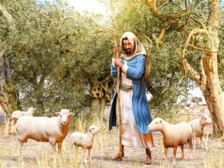 What did a shepherd do in biblical times?