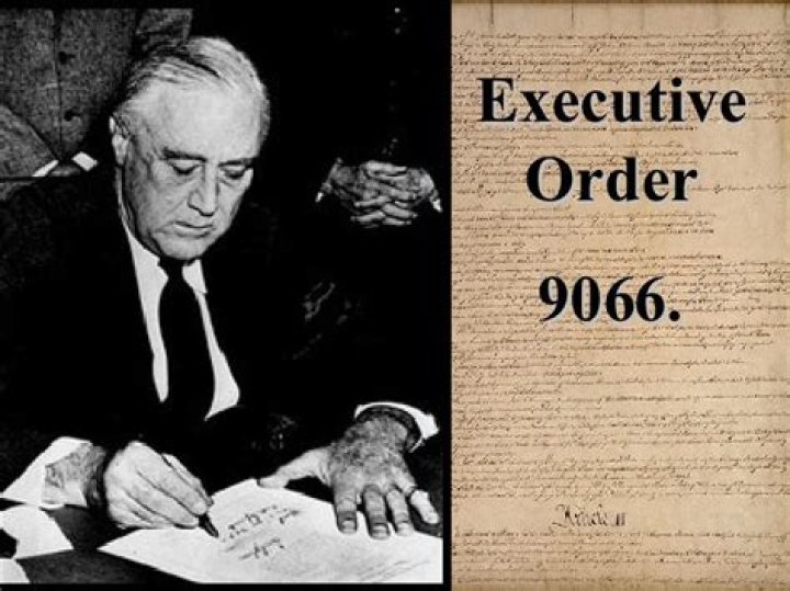 What did Executive Order 9066 allow for?