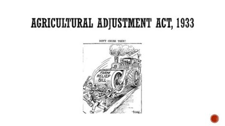 What did the Agricultural Adjustment Act of 1933 do?