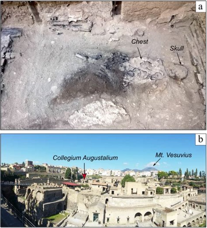What did the Augustales do?
