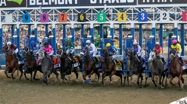 What did the Belmont Stakes trifecta pay?